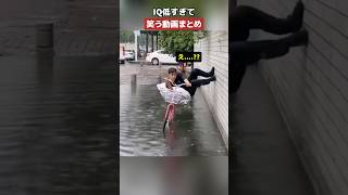 IQ低すぎて笑う動画まとめ🤣🤣