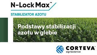 Podstawy stabilizacji azotu w glebie.