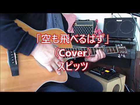 空も飛べるはず 　（COVER)