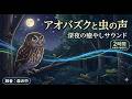 【睡眠導入】アオバズクと虫の声|深い眠りに誘う深夜の森の環境音(2時間)