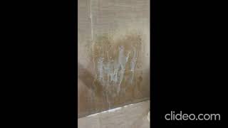 Happy Planet's Tap Cleaner Honest Review