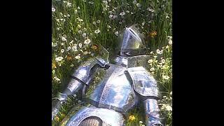 Download lagu Birds Of A Feather - Best Part (Slowed Reverb) Extented Version