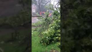 BETHESDA MD 8 - 11