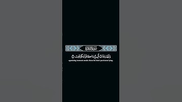 في قلوبهم مرضا #مشاري_العفاسي #قرآن #quran #اكسبلور #ياسر_الدوسري #تلاوة_خاشعة #لايك