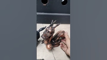 Đồng Xưa (0933.384.634)da.lo #phongthủy #trangtrí #trưngbày #cổ #đồxưasưutầm