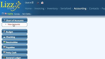 Chart Of Accounts in Lizzy
