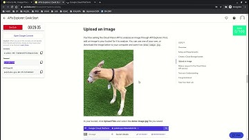 #QuánQuânGCP APIs Explorer Qwik Start