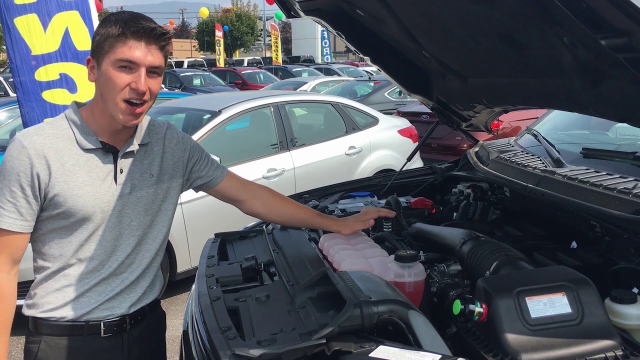 Arya and the F-150 Diesel