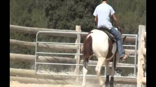 Download Lagu Natural Pippo San MP3