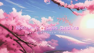 桜のハート sweet sunshine