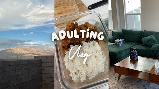 ADULTING:  Moving into new house week 2