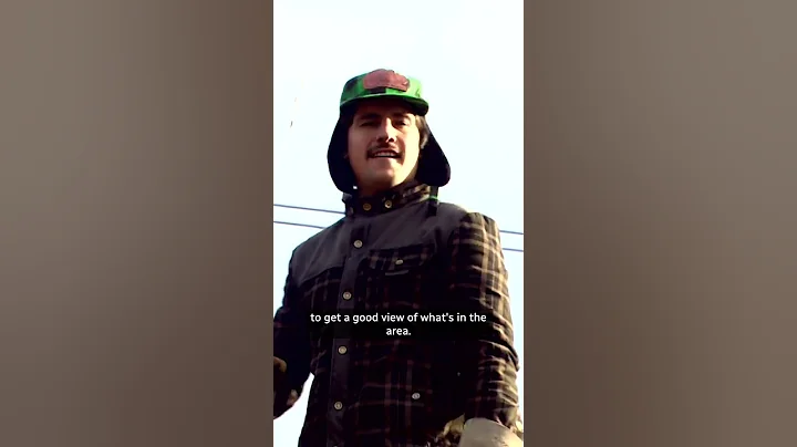 How to legally cut down your own Christmas tree