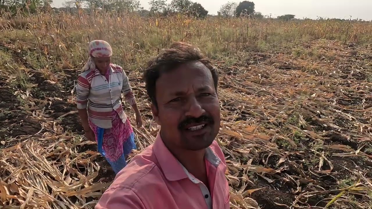 ऊन जरा जास्त आहे 