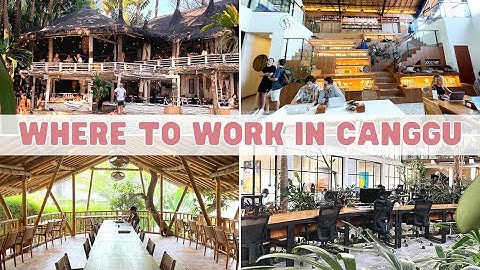 Where To Work in Canggu as a Digital Nomad. Best Co-Working Spaces in Canggu.