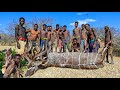 Hadzabe tribe catch  eat the biggest antelope