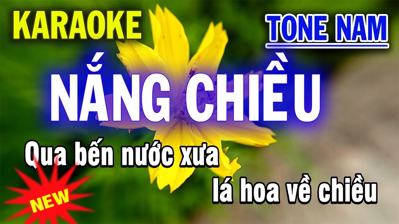 Karaoke Nắng Chiều - Tone Nam - Beat Mới