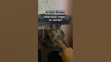 Why doesn