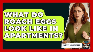 What Do Roach Eggs Look Like In Apartments? - Insects and Invaders
