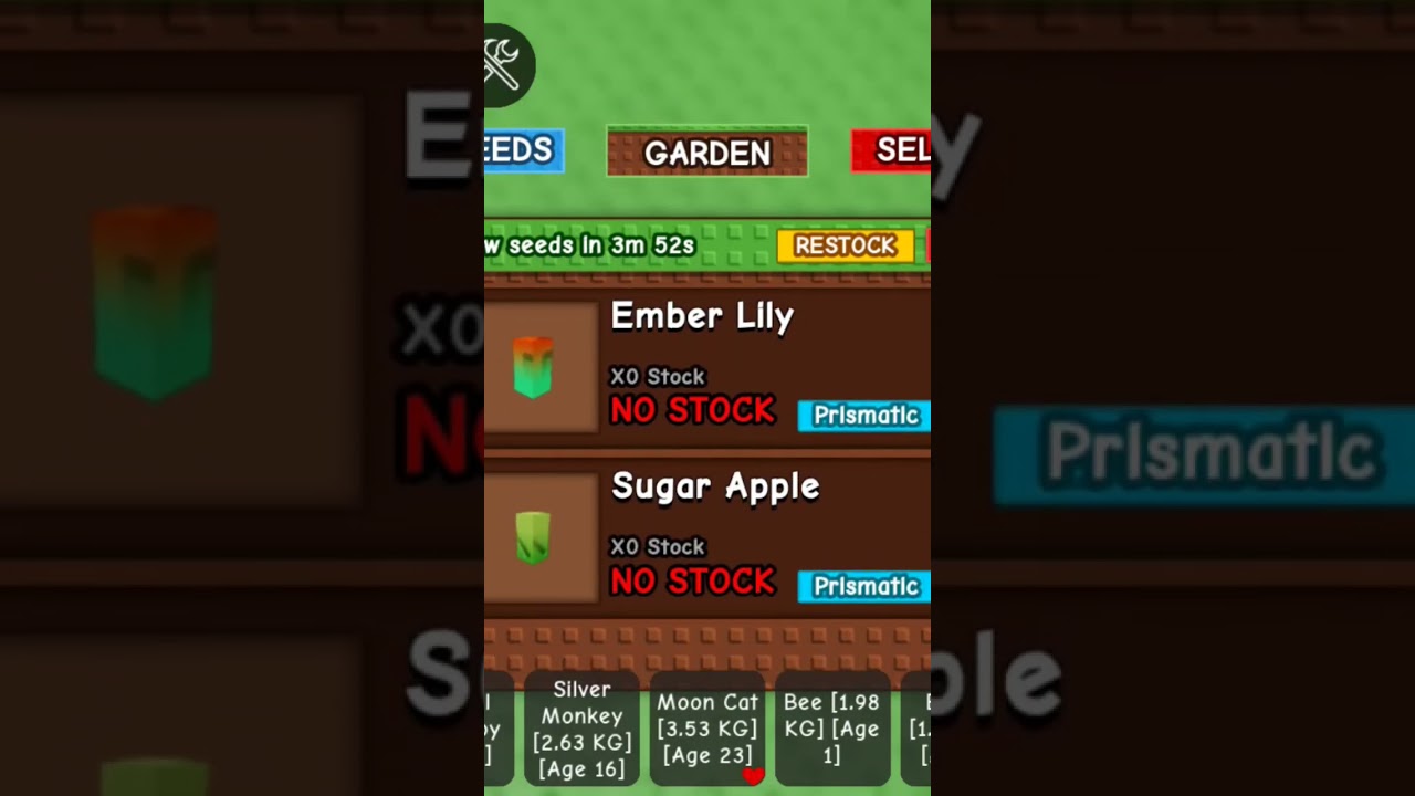 POV:every reset stock be like💀