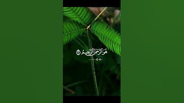 #القران #كريم#مقطع قصيره#صوت جميل جداً#سورة الحشر#القارئ حمزة بوديب