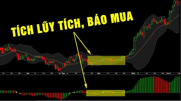 F186 - BWA một chỉ báo đảo chiều tích lũy trong mô hình giá | Code Ambroker