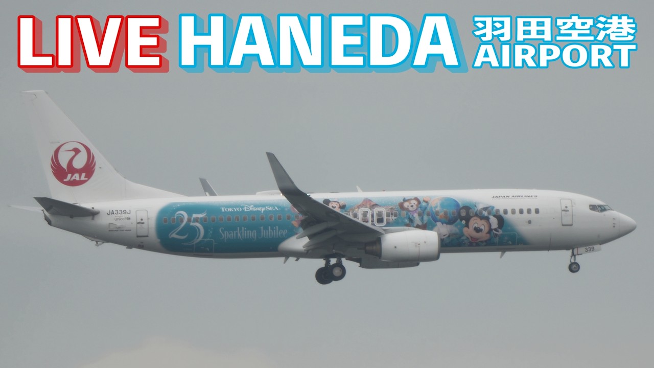 🔶LIVE📡'26/6/9 羽田空港 HANEDA INTERNATIONAL AIRPORT plane spotting