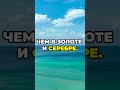 Вечная мудрость имама Али о вежливости