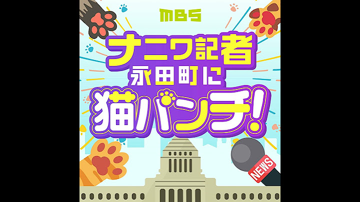 フランス国民議会選挙に猫パンチ！