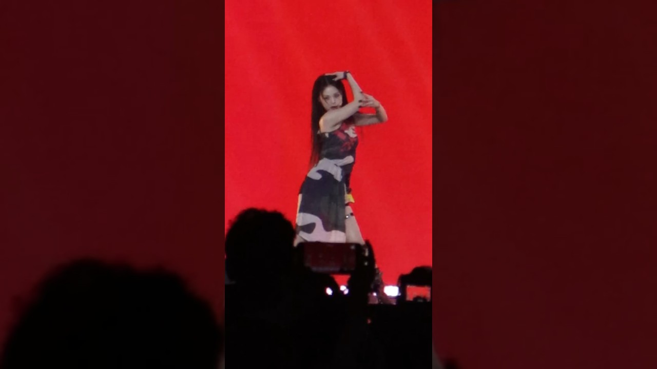 Vocal Dance Cover Influencer‘s 2024   