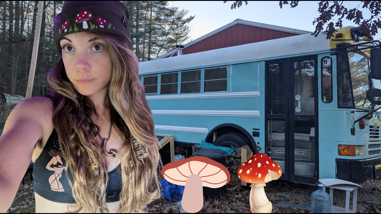 Life Updates: Health Issues, Getting Land, and a Tour of my Mom's Tiny House Bus