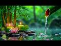 Soothing Relaxing Music 🌿 Stress Relief, Calm Mind, Meditation, Sleep and Spa Healing Ambience
