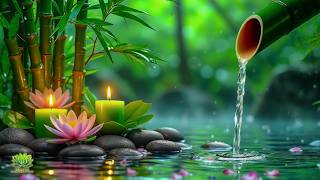 Soothing Relaxing Music 🌿 Stress Relief, Calm Mind, Meditation, Sleep and Spa Healing Ambience screenshot 1