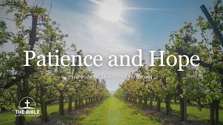 Patience and Hope | David Brown