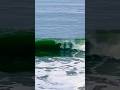 May 25, 2026 I Heard it Through the Grapevine at The Beach NorCal Santa Cruz CA #socal #grapevine