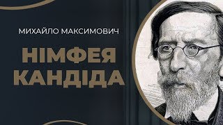 Михайло Максимович – і його щасливе, хоча й запізніле кохання - Марія / ГРА ДОЛІ