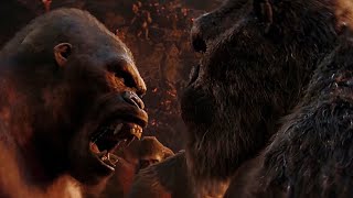 Kong One-Shots A Great Ape (One-Punch Kong) Scene | Godzilla X Kong: The New Empire (2024)