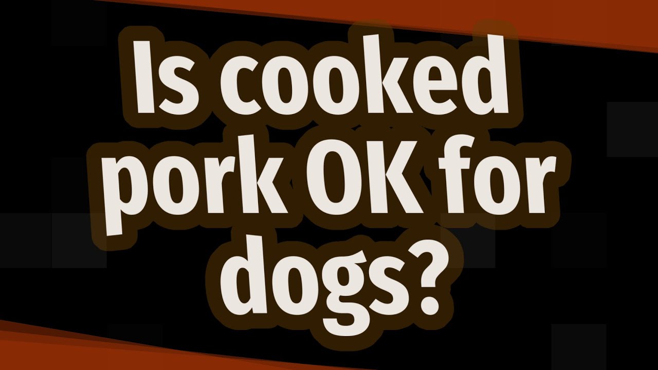 Is Cooked Pork OK For Dogs YouTube is-cooked-pork-ok-for-dogs-youtube