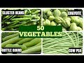 50 Vegetable Names in English # How many you know?
