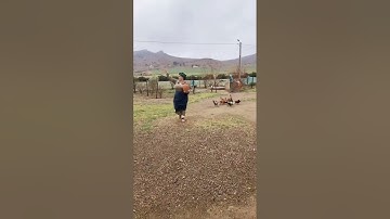 اللهم اجعل القرآن الكريم ربيع قلوبنا ونور صدورنا 🤲