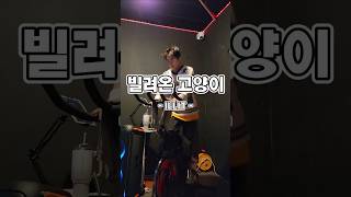 빌려온 고양이 - ILLIT #포레스트두아카데미 #두스피닝 #DO진쌤