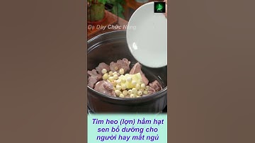Tim heo (lợn) hầm hạt sen bổ dưỡng đặc biệt cho người hay mất ngủ #shorts  #cooking