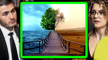 Language is an approximation of reality | Sara Walker and Lex Fridman