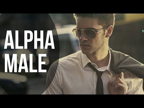 Video: Alpha male är en född ledare
