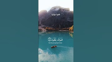 قرآن كريم آيات مريحة للقلب إسلام صبحي راحة نفسية تلاوة خاشعة #اسلام_صبحي #صلوا_على_النبي #راحة_نفسية