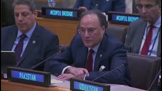 Finance Minister speaking at the high-level event on the Climate Implementation Bridge (BRIDGE)