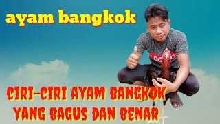 Ciri ciri ayam bangkok klasik. 