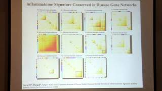 July 18, 2013 - Multiscale Network Analysis