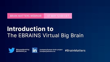 Brain Matters #5 - Introduction to The EBRAINS Virtual Big Brain