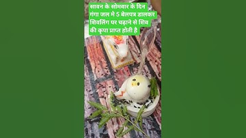 सावन के सोमवार के दिन गंगा जल मे 5 बेलपत्री डालकर शिवलिंग पर चढ़ाने से #shiv #pradeepmishrajikeupaay​