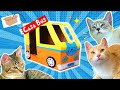 🚌 HAGO COCHESITO PARA 3 DE MIS GATOS! | Con una Caja de Cartón!! 🏠